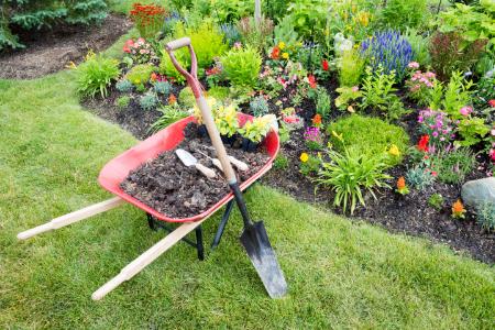 Creating a Stunning Flowerbed: Plant Selection and Design Tips