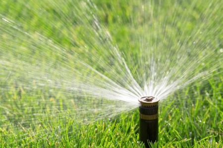 How to Choose the Right Irrigation System for Your Yard